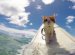 Going To The Surf