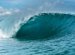 Spring Waves